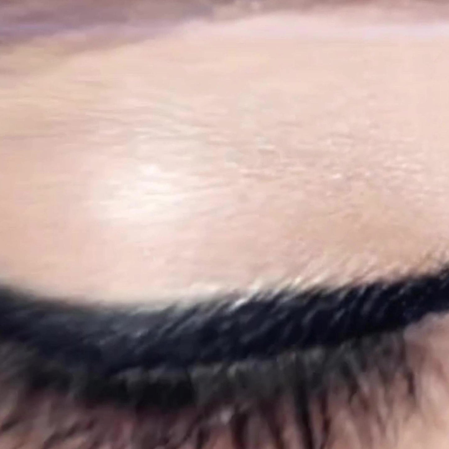 Luxurious Waterproof Liquid Eyeliner Set for Dramatic Looks