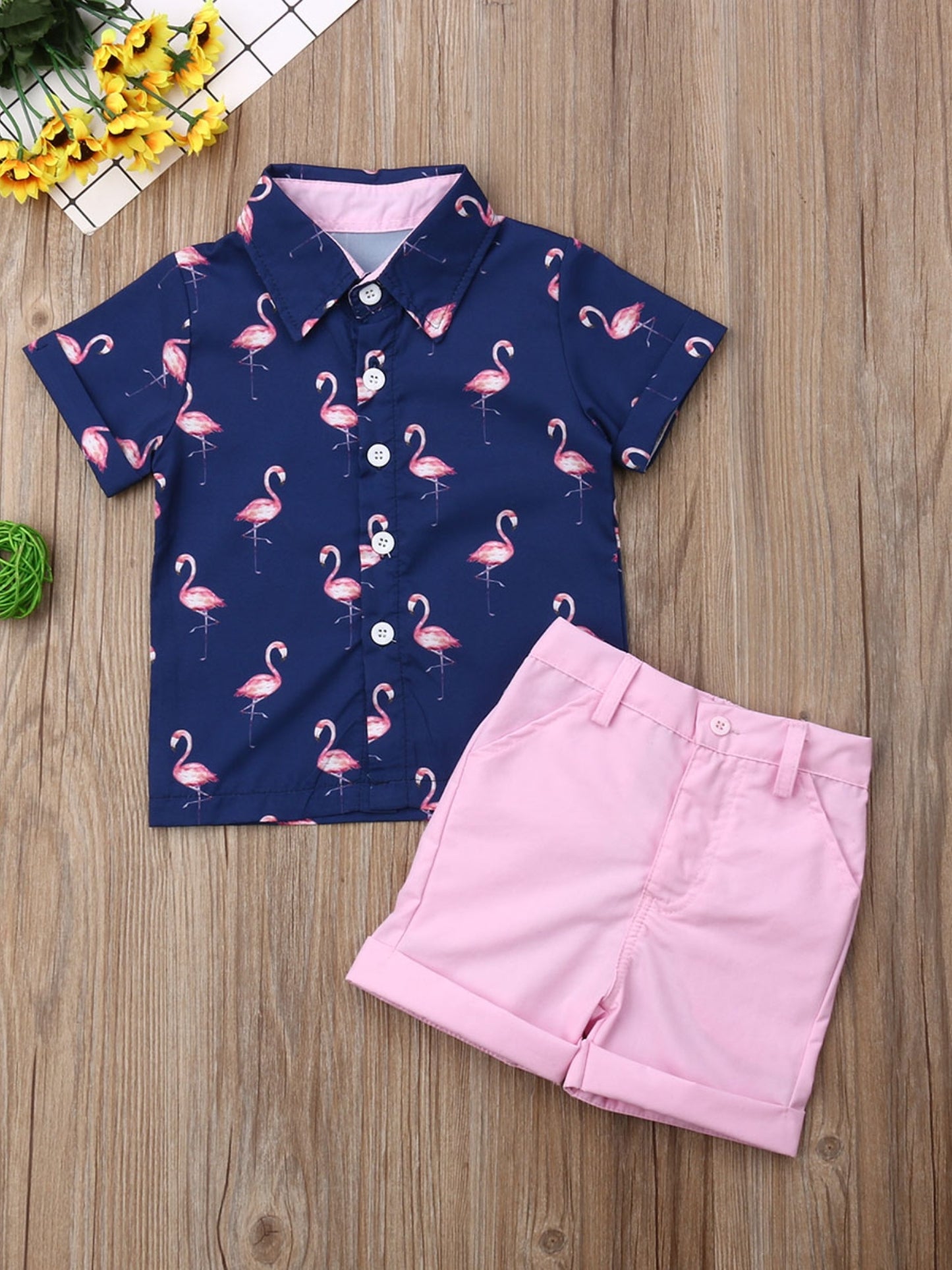 Youngsters Boys Summer Flamingo Print Shirt and Solid Shorts Clothes Set for Outdoor Fun