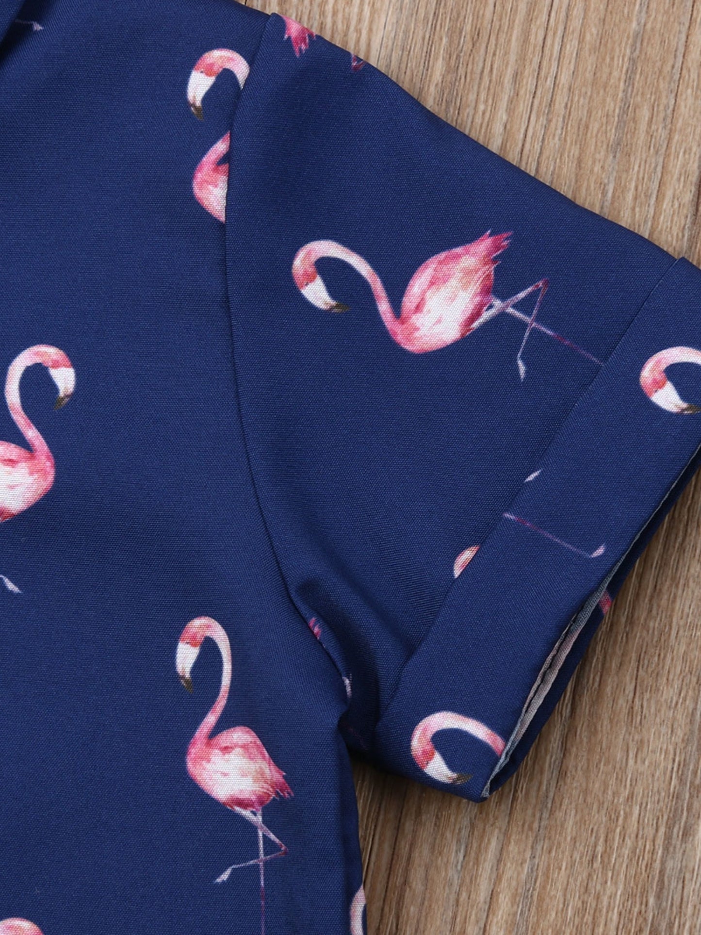 Youngsters Boys Summer Flamingo Print Shirt and Solid Shorts Clothes Set for Outdoor Fun