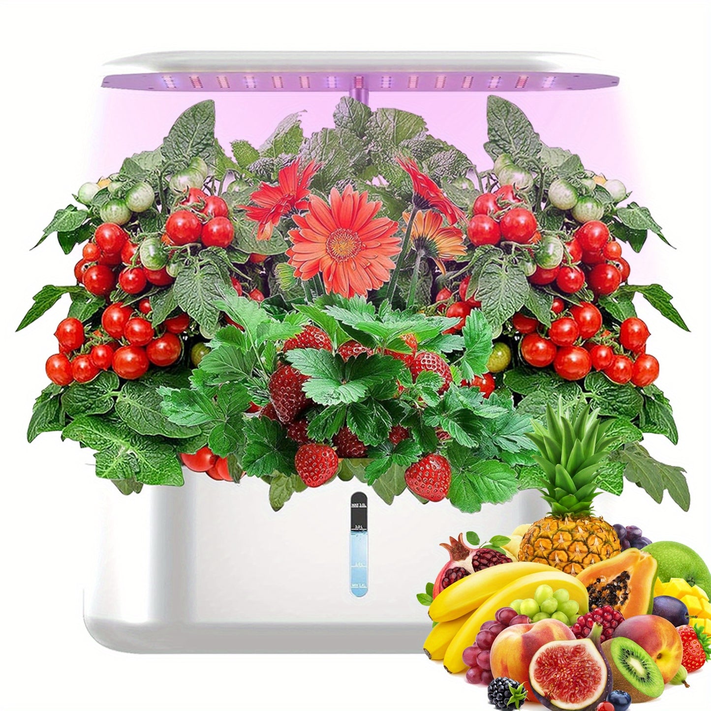 Hydroponics Growing System With 10 Pods And Nutrients 1 Gallon Water Tank Automatic Timer Height Adjustable Indoor Herb Garden Kit With Grow Lights And Quiet Water Pump