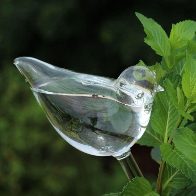 Mkono Plant Self Watering Globes Glass Water Bulbs Bird Shape Automatic Plant Waterer Spikes for Indoor Outdoor Plants Gifts for Plant Lovers 2 Pack