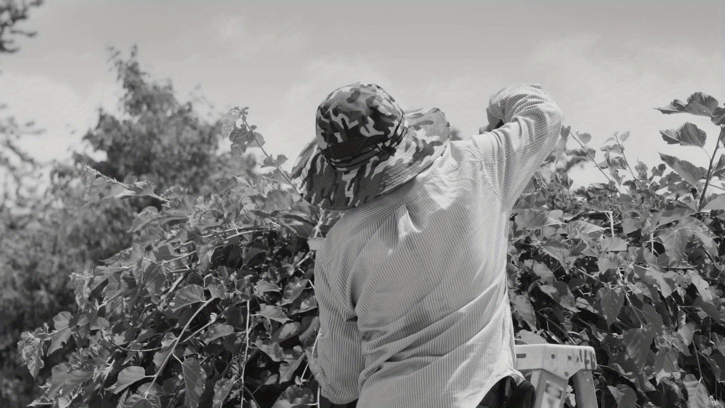 Alloyman 20V Pole Hedge Trimmer with Batteries and Charger