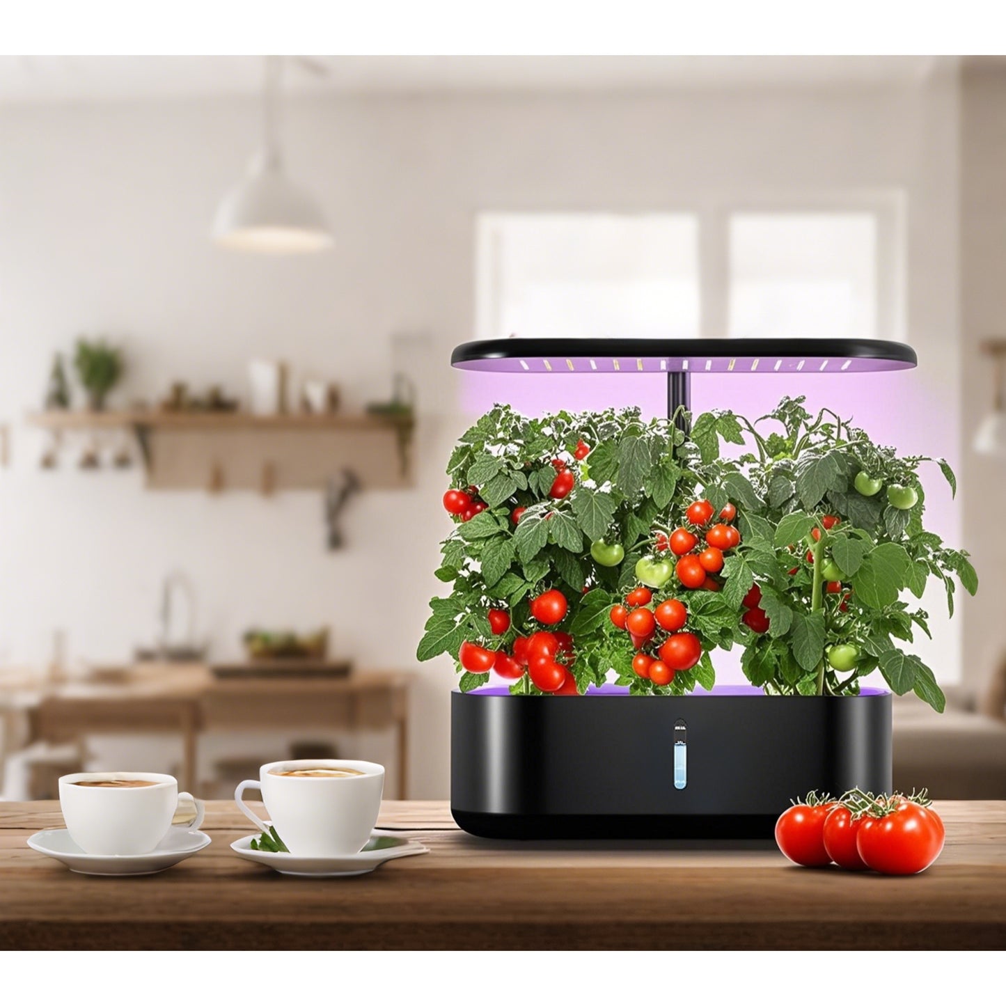 Hydroponics Growing System With 10 Pods And Nutrients 1 Gallon Water Tank Automatic Timer Height Adjustable Indoor Herb Garden Kit With Grow Lights And Quiet Water Pump