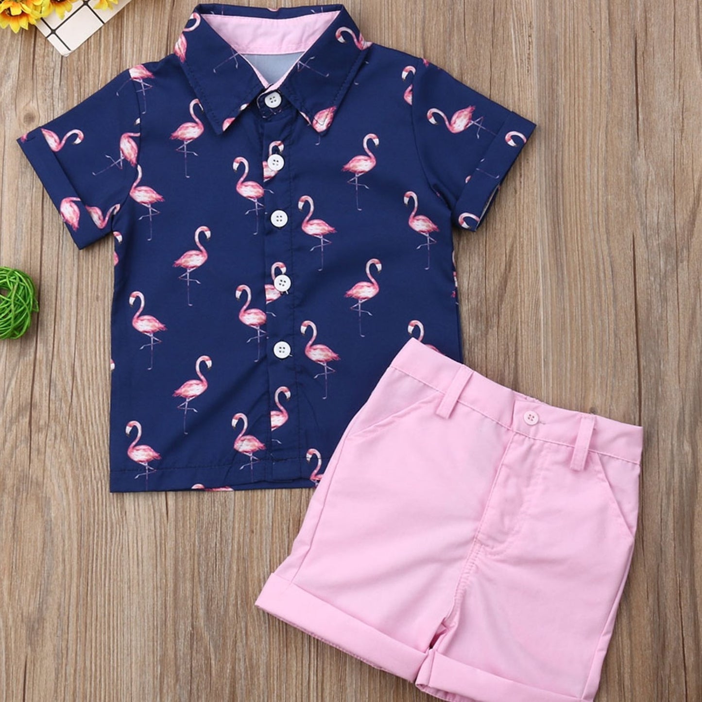 Youngsters Boys Summer Flamingo Print Shirt and Solid Shorts Clothes Set for Outdoor Fun
